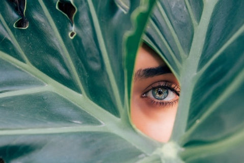 Woman with green eyes looking through a gap in a large deep-green leaf. The Toxic 10: Skincare ingredients to avoid. KPS Essentials Skincare.