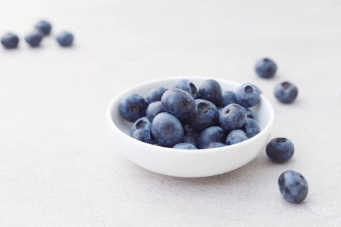 Bilberries in a bowl on a white background, which rank high on the ORAC Scale. 